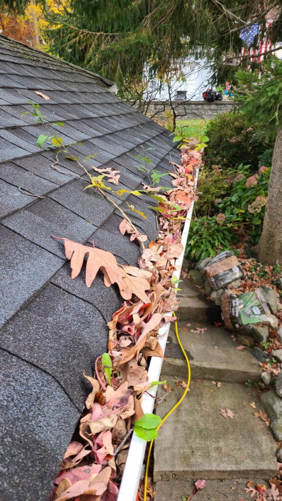 Removing leaves and dirt from gutters Alpharetta GA